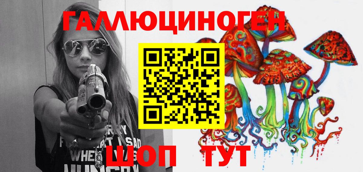 Псилоцибиновые грибы Psilocybe Котлас