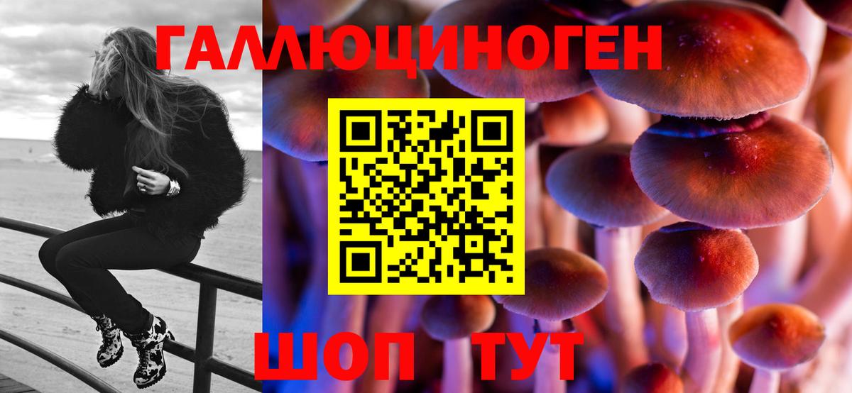 Галлюциногенные грибы Psilocybe  Вход с VPN  Псилоцибиновые грибы Psilocybine cubensis  Котлас 